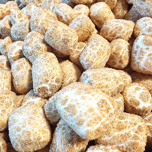 Load image into Gallery viewer, Freeze Dried Cinnamon Toast Mini Marshmallows - 2.2oz Bag - Freezin Awesome