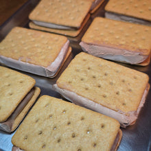 Load image into Gallery viewer, Freeze Dried Ice Cream Sandwiches - S'mores - 1.5oz Bag - Freezin Awesome